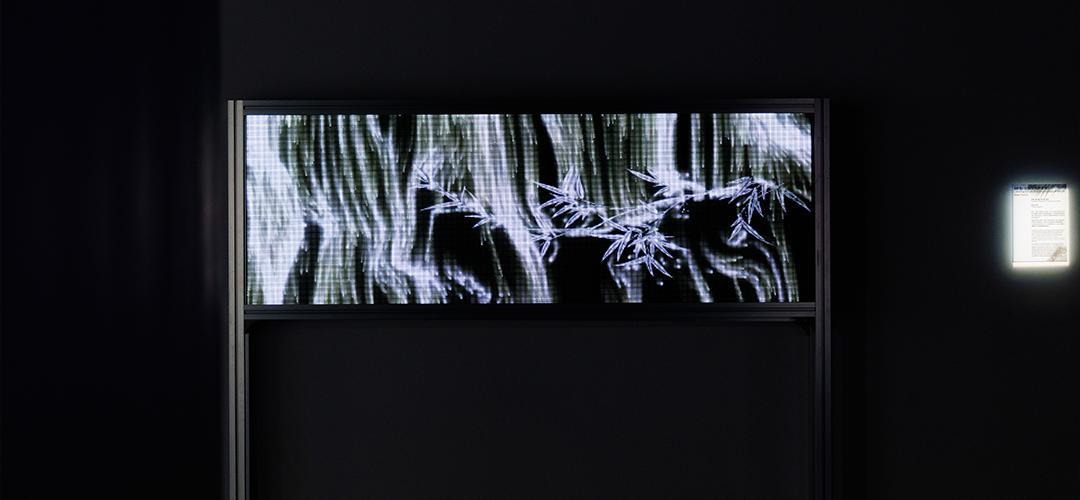 Hu Art Museum Installation — scene 2